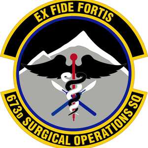 673 SGCS